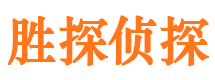 莲湖市私家侦探